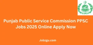 Punjab Public Service Commission PPSC Jobs 2025 Online Apply Now